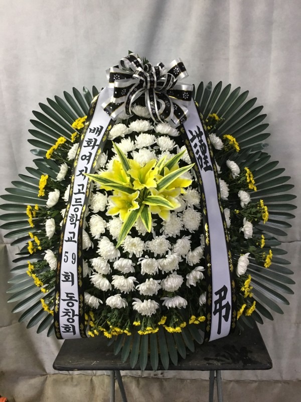 빮/̼ʽ忡 κ ٷϴ 3ȭȯ/ɹٱϸ  Ƚϴ.